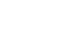 ElbitLogow.png